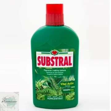 Zöld növény és páfrány tápoldat Substral 500 ml