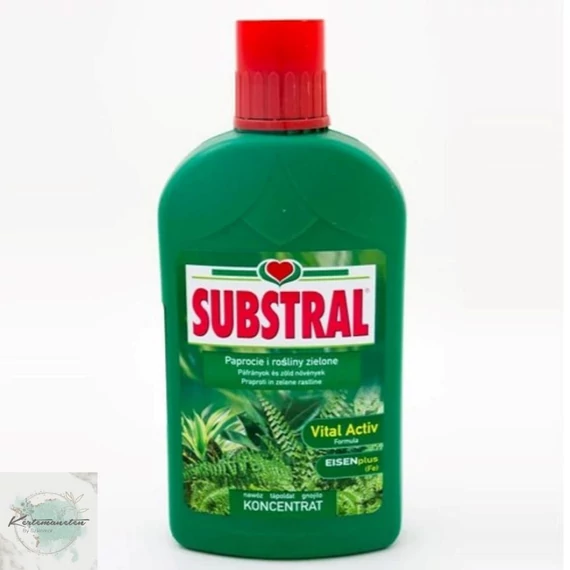 Zöld növény és páfrány tápoldat Substral 500 ml